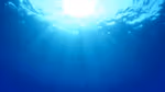 Plastics in the sea